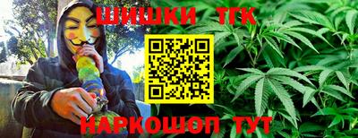 индика Заводоуковск