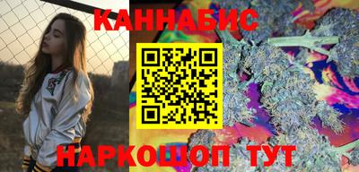 индика Заводоуковск