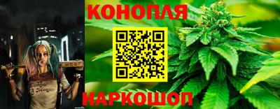 стафф Дубна