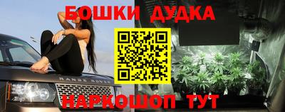 стафф Дубна