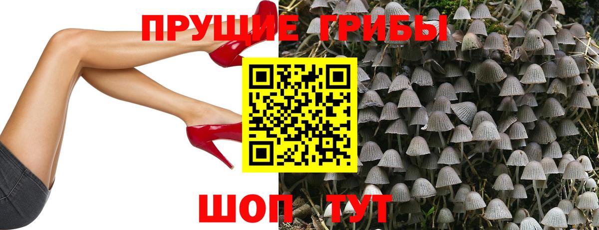 Галлюциногенные грибы прущие грибы Мурманск