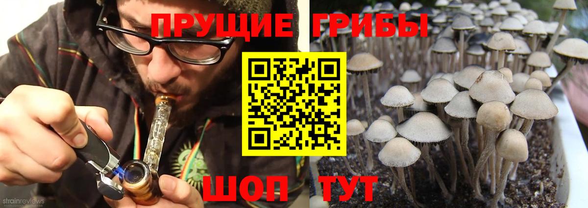 Мурманск  Псилоцибиновые грибы Psilocybe  Вход с VPN 